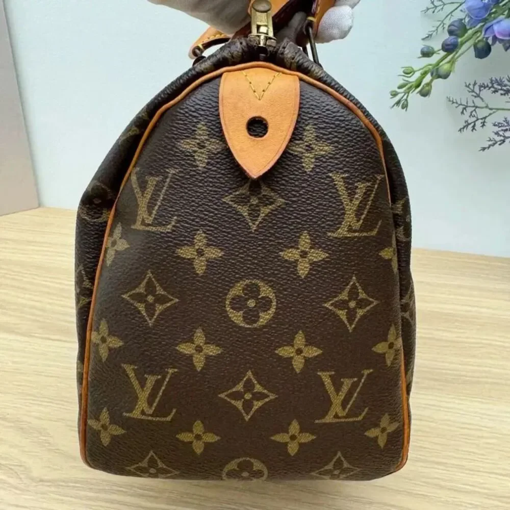 Louis Vuitton brand louis